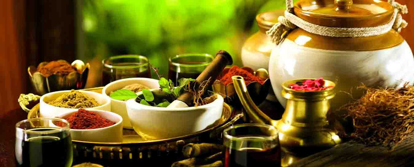 Kerala Ayurveda Tour