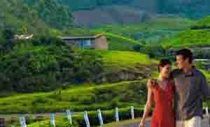 Kerala Honeymoon Packages for 2 Nights 3 Days