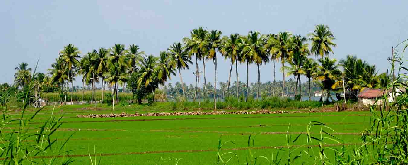 Kerala Tour Packages 15 Nights 16 Days
