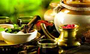 kerala ayurveda tour packages