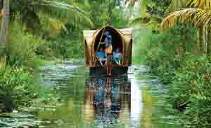 customized Kerala tour packages