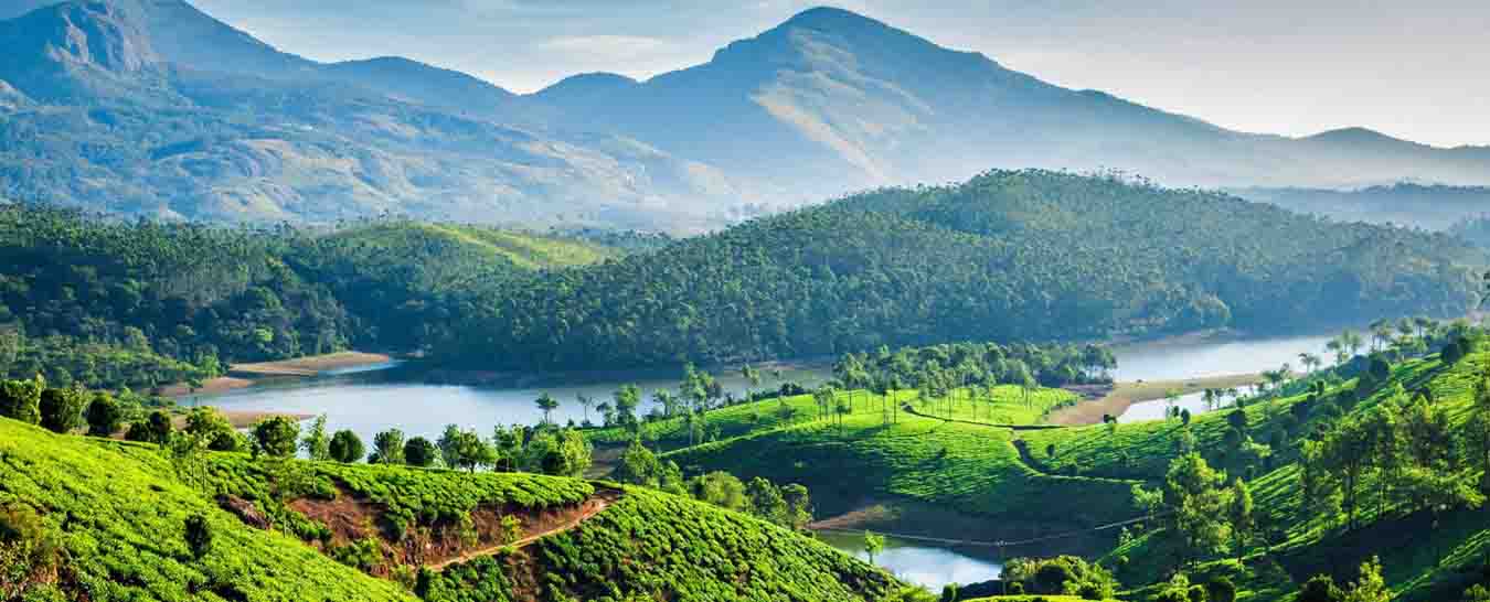 kerala tourism contact details