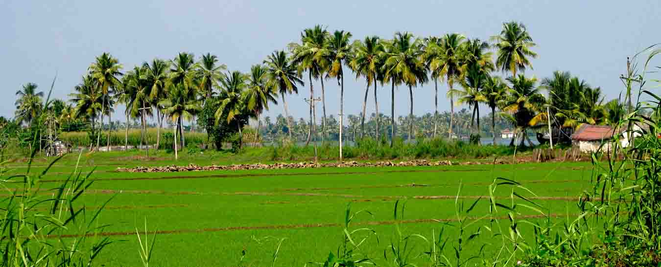 kerala village tourism