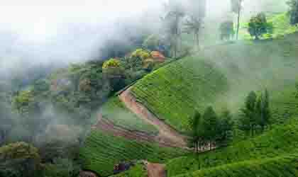 Munnar