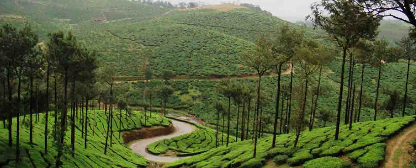 munnar tourism packages